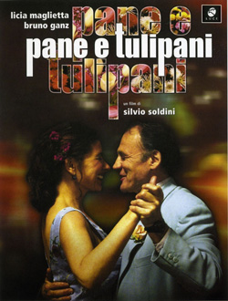 PANE-E-TULIPANI